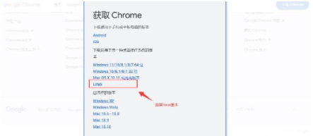 谷歌浏览器linux版如何安装4