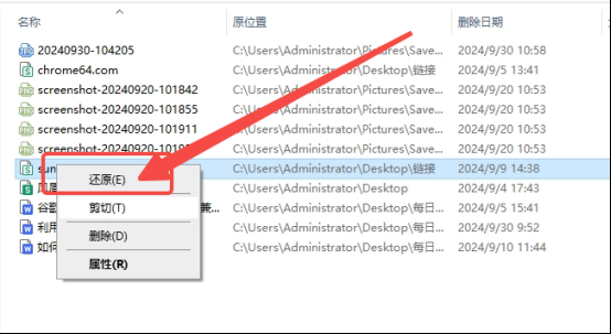 如何恢复笔记本电脑上误删除的谷歌浏览器数据3