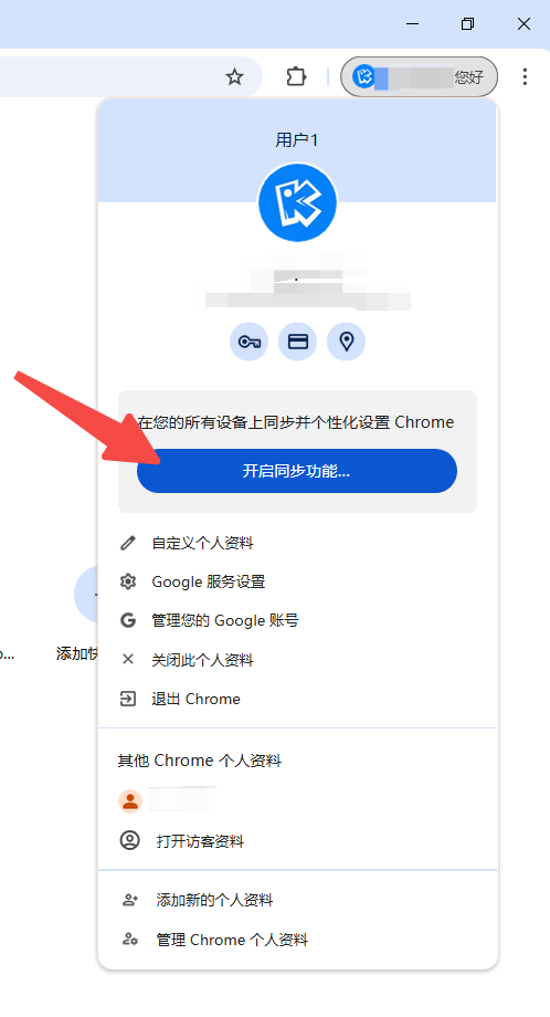 如何在Chrome浏览器中查看和管理浏览器插件6