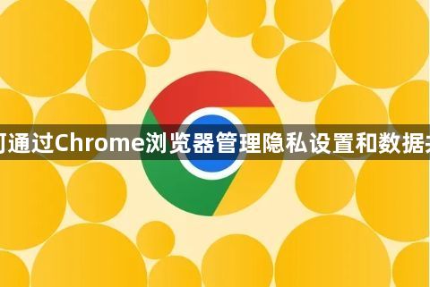 如何通过Chrome浏览器管理隐私设置和数据共享1